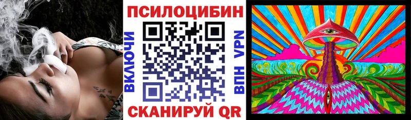 гидра как войти  Кущёвская  Псилоцибиновые грибы MAGIC MUSHROOMS  где купить наркотик 